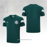 Camisola de Treinamento Palmeiras 2023/24 Verde