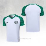 Camisola de Treinamento Palmeiras 23/24 Branco